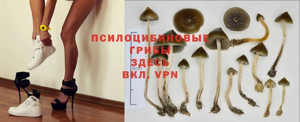 твердый Алексеевка