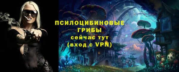 трава Алзамай