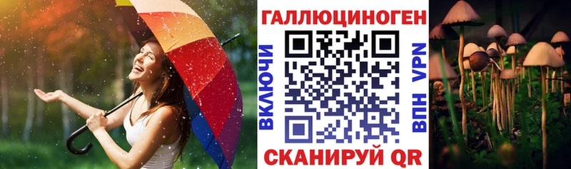 сколько стоит  Пучеж  Псилоцибиновые грибы мицелий 